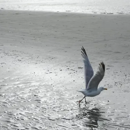 On Zeedijk With Stunning Sea View * Coxyde