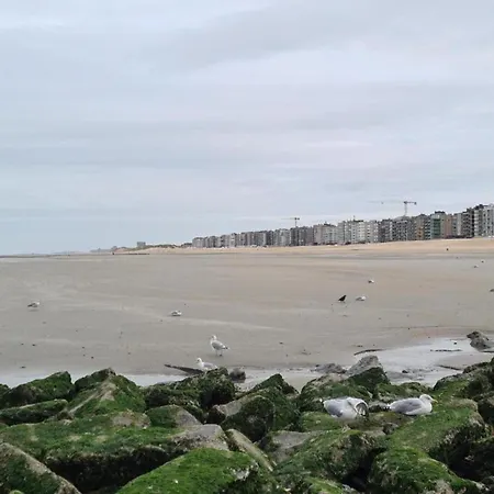 On Zeedijk With Stunning Sea View