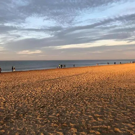 On Zeedijk With Stunning Sea View * Coxyde