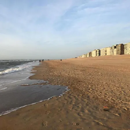 Appartement On Zeedijk With Stunning Sea View *