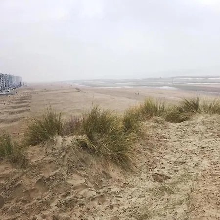 On Zeedijk With Stunning Sea View Coxyde